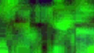 Ever tried anal with a Mexican prostitute from Puebla? she asks provocatively.