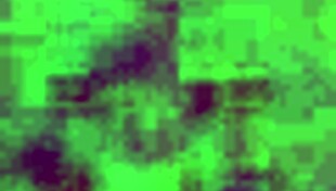 Mol021 Enjoys Intimate Masturbation Session With Friend