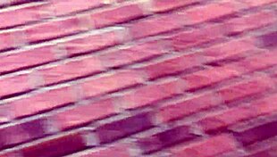 Two moms enjoy candid shopping in hidden location