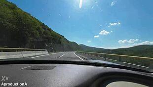 oh man, i can’t believe how many times she peed on this 14-hour road trip, like seriously wild!