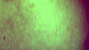 Argentinian Riding Anal Sex Cowgirl Homemade Pov Assfucking Amateurs