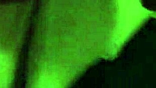 latina cheating wife rides bbc hard! she fucks her favorite friend in amazon position passionately!