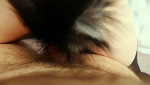 Once, I banged a busty fox right under her tail