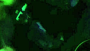 she asks, want to see this chilena amateur sucking eagerly for thirteen minutes?