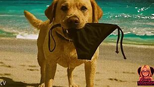 Lucy's beach day adventure with ai generated story 😊🏖️