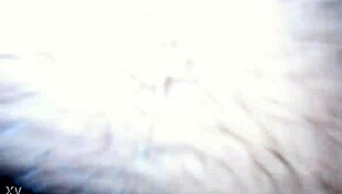 Laura Daniela Exhibits As Hotwife In Mexico City