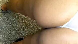 me chupa la polla y la follo en el living arriba de la silla