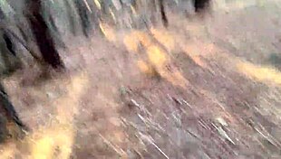 Clitlicker662 Update 23 Img 1265 Dec 12 2024