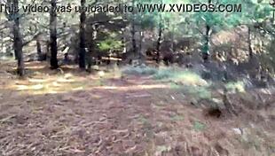 Clitlicker662 Update 23 Img 1265 Dec 12 2024