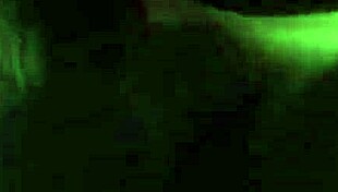 Watch the close-up creampie in her big ass!