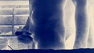 Big indian cock gets worshipped by eager mouths and tight holes