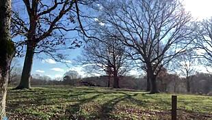 Clitlicker662 Update 23 Img 1265 Dec 12 2024