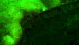 mayanmandev shaved look is stunning