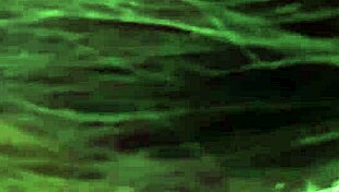 Jimena Lago Pleases Her Pussy with Hitachi!