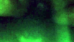 queen chubby5 always craving orgasm