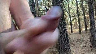 Clitlicker662 Update 23 Img 1265 Dec 12 2024