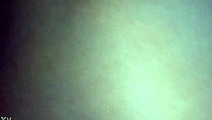 Laura Daniela Exhibits As Hotwife In Mexico City