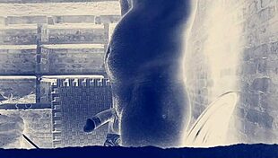 Big indian cock gets worshipped by eager mouths and tight holes