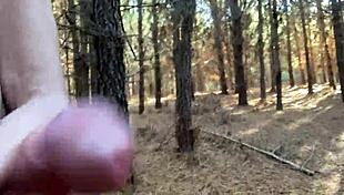 Clitlicker662 Update 23 Img 1265 Dec 12 2024