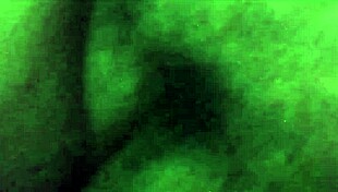 Compilation Of Chubby BBW Latina Fucks