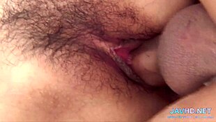 Javhd nejlepší chlupaté kundičky vol 15