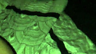 fat dick willy in doggystyle action