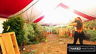 jayla foxx enjoys big cock at christmas tree lot