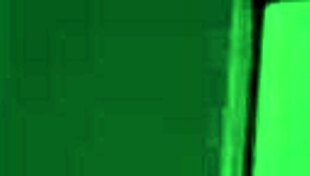 Silvana Lee Rides Brian Evans As Latina Maid.