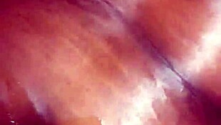 fat dick willy in doggystyle action