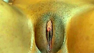 hey cutie, wanna see my fat jamaican cameltoe get rubbed?