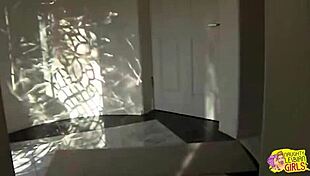 sensual teagan summers and capri anderson love sex toys and scissoring