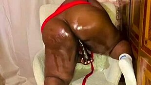 nigarchrist update 1385 petal jun 11 2025