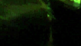 Tranny sucking big dick downtown Philly