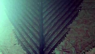 Elza kom nylon tights fetish