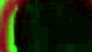 Chloe Cooper won't stop sucking the big cock passionately.