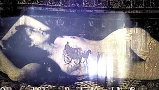 i treasure my vintage hairy beaver secrets