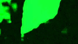 WHAT'S MY WIFE DOING WITH THIS STRANGER?