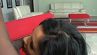 Anell really loves that big black cock of hers. She gives it a great blowjob.