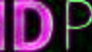 Petite Teen Faces Huge Monster Challenge.