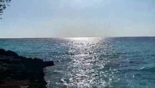 monika fox strips naked on beach bus tour