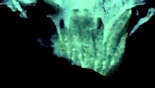 Vintage bisexual threesome with anal and double penetration in sixties.