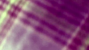 i'm the mexican teacher offering students a special way to pass the exam with their bodies