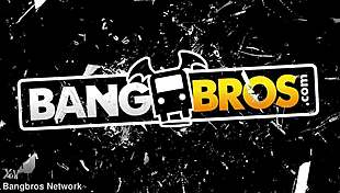 Kitten Cleans Up For The Maid