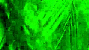 petite model putri cinta showing off her tanned big boobs