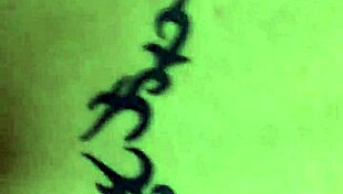 colombian crossdresser in doggystyle pose on sofa