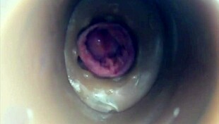 Internal Camera Captures Pussy Fucking And Big Cumshot