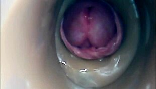 Internal Camera Captures Pussy Fucking And Big Cumshot