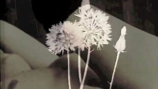 dark lantern entertainment presents erotic confessions from my secret life as a victorian gentleman.