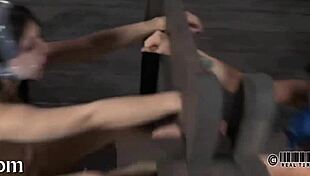 Pornstar Explores Sadomasochism In Professional Scene