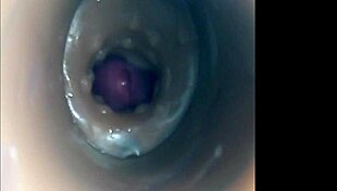 Internal Camera Captures Pussy Fucking And Big Cumshot